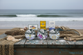 Caja regalo Sabores del Mar con conservas gourmet La Curiosa, bacalao y sardinas